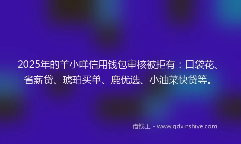 2025年的羊小咩信用钱包审核被拒有：口袋花、省薪贷、琥珀买单、鹿优选、小油菜快贷等。