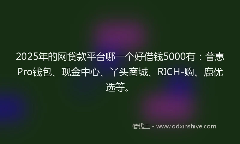 2025年的网贷款平台哪一个好借钱5000有：普惠Pro钱包、现金中心、丫头商城、RICH-购、鹿优选等。