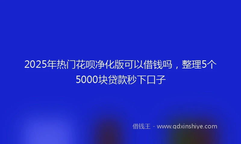 2025年热门花呗净化版可以借钱吗，整理5个5000块贷款秒下口子