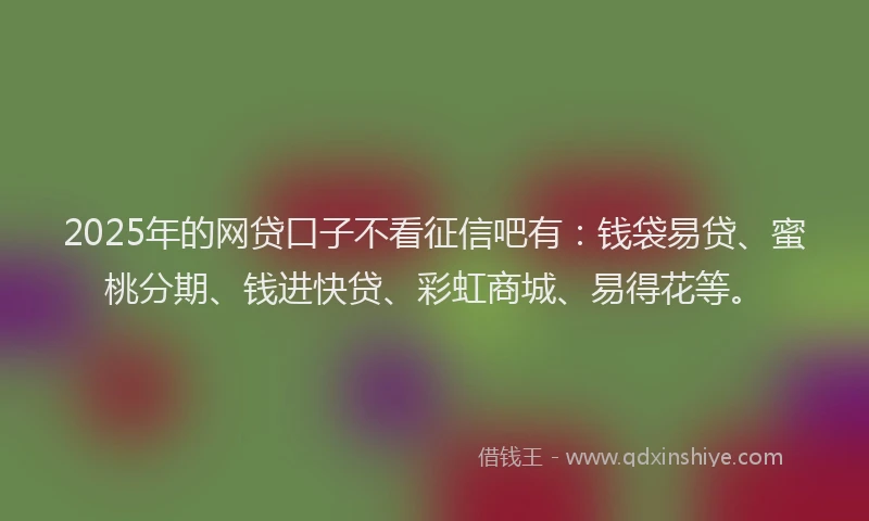 2025年的网贷口子不看征信吧有：钱袋易贷、蜜桃分期、钱进快贷、彩虹商城、易得花等。