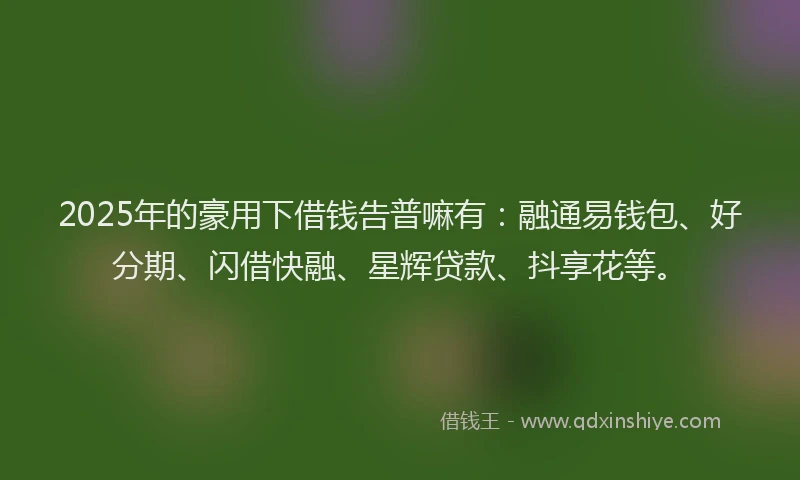 2025年的豪用下借钱告普嘛有：融通易钱包、好分期、闪借快融、星辉贷款、抖享花等。
