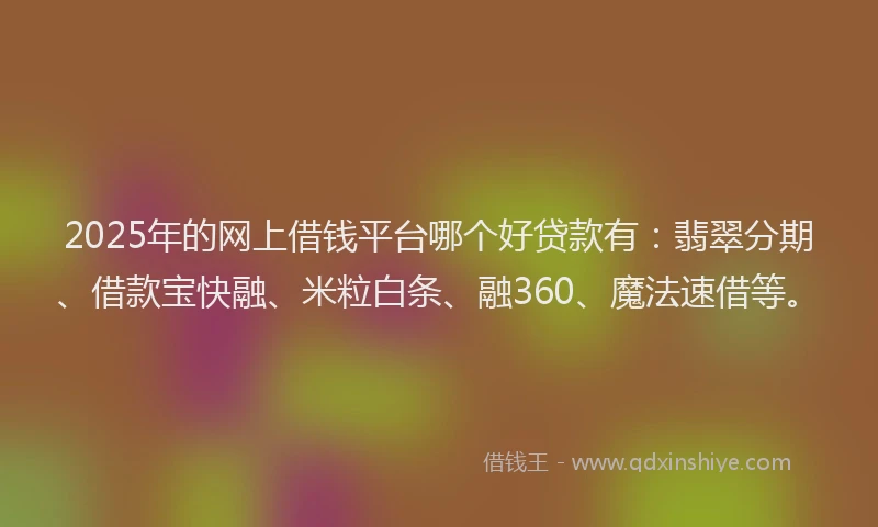 2025年的网上借钱平台哪个好贷款有：翡翠分期、借款宝快融、米粒白条、融360、魔法速借等。