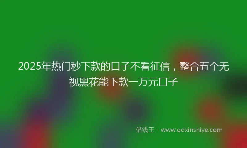 2025年热门秒下款的口子不看征信，整合五个无视黑花能下款一万元口子