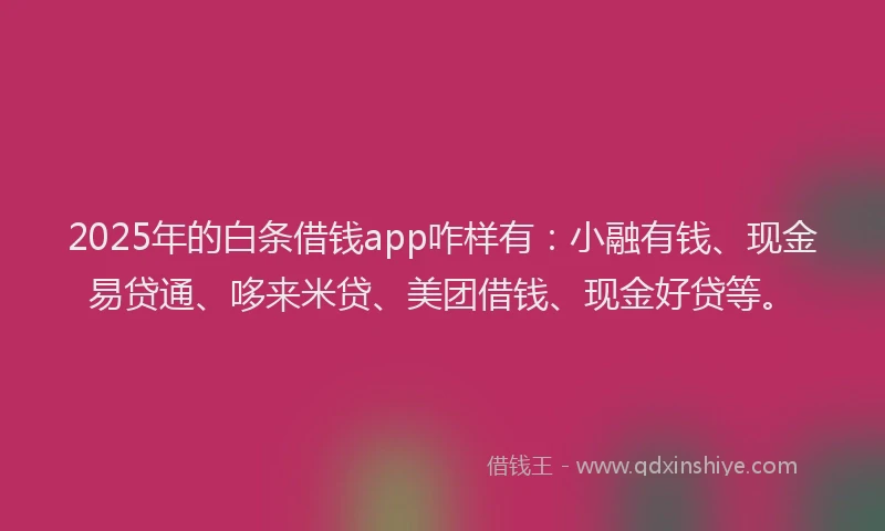 2025年的白条借钱app咋样有：小融有钱、现金易贷通、哆来米贷、美团借钱、现金好贷等。