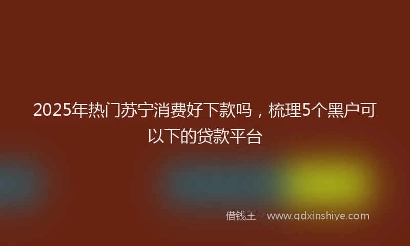 2025年热门苏宁消费好下款吗，梳理5个黑户可以下的贷款平台
