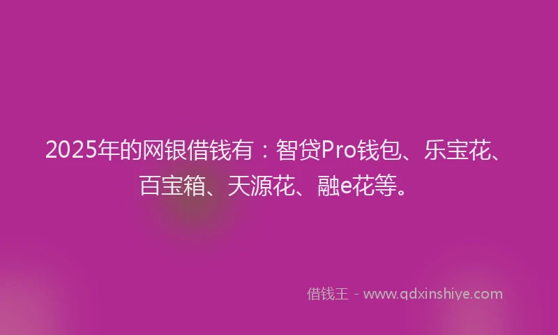 2025年的网银借钱有：智贷Pro钱包、乐宝花、百宝箱、天源花、融e花等。