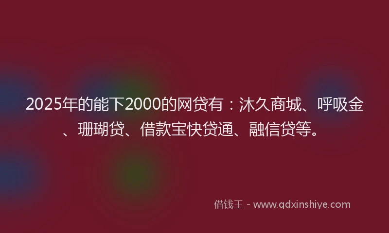 2025年的能下2000的网贷有：沐久商城、呼吸金、珊瑚贷、借款宝快贷通、融信贷等。