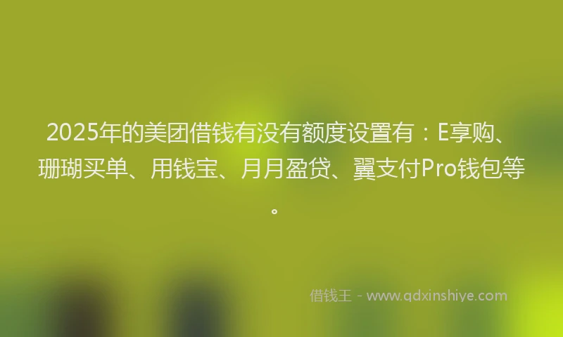 2025年的美团借钱有没有额度设置有：E享购、珊瑚买单、用钱宝、月月盈贷、翼支付Pro钱包等。