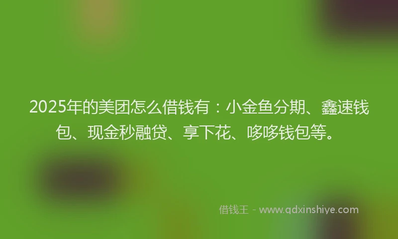 2025年的美团怎么借钱有：小金鱼分期、鑫速钱包、现金秒融贷、享下花、哆哆钱包等。