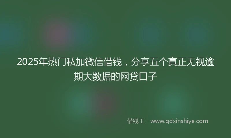 2025年热门私加微信借钱，分享五个真正无视逾期大数据的网贷口子