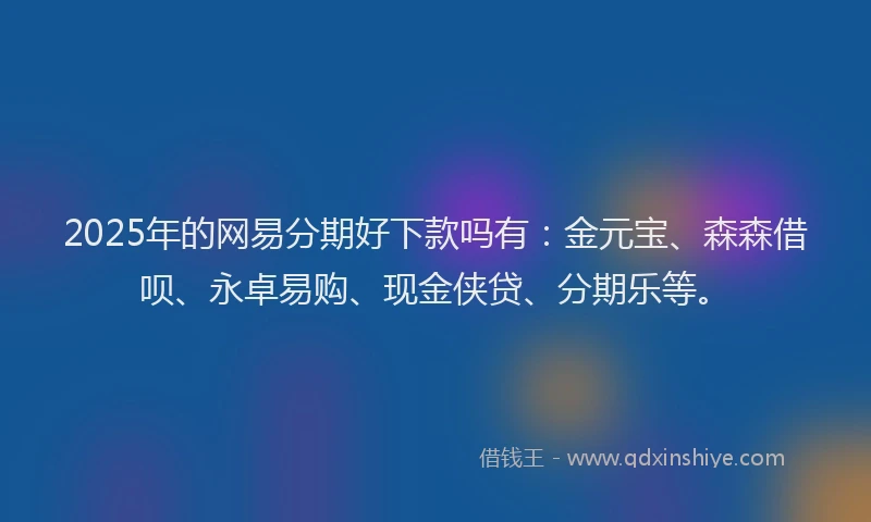 2025年的网易分期好下款吗有：金元宝、森森借呗、永卓易购、现金侠贷、分期乐等。