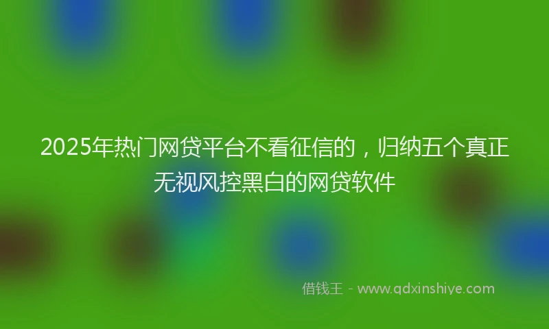 2025年热门网贷平台不看征信的，归纳五个真正无视风控黑白的网贷软件