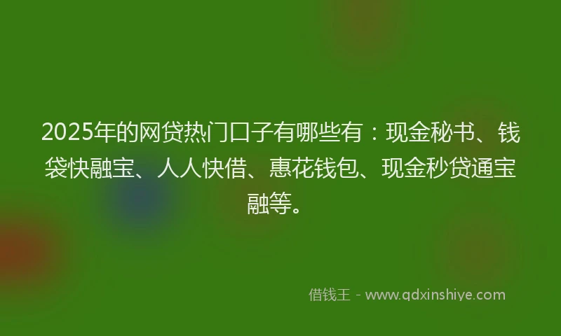 2025年的网贷热门口子有哪些有：现金秘书、钱袋快融宝、人人快借、惠花钱包、现金秒贷通宝融等。