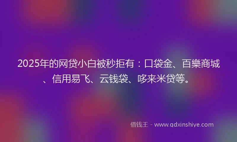 2025年的网贷小白被秒拒有：口袋金、百樂商城、信用易飞、云钱袋、哆来米贷等。