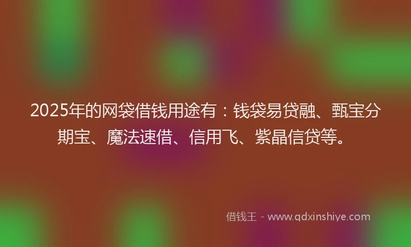 2025年的网袋借钱用途有：钱袋易贷融、甄宝分期宝、魔法速借、信用飞、紫晶信贷等。