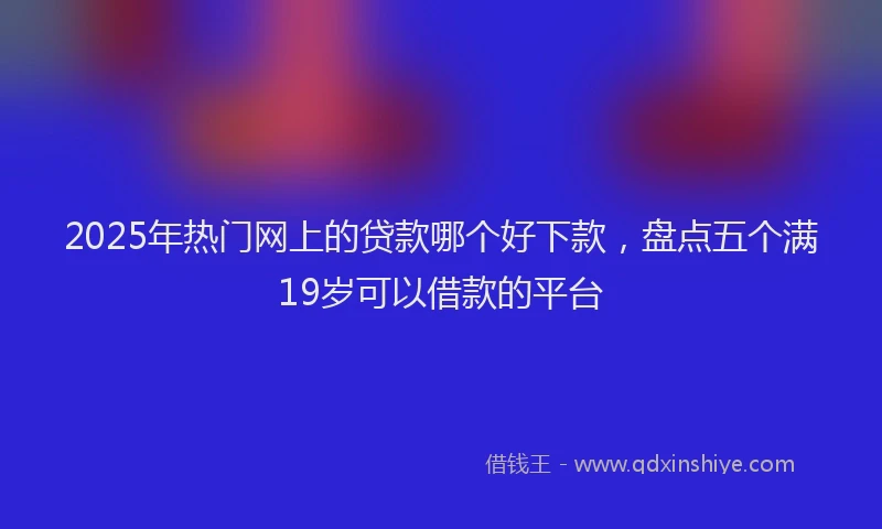 2025年热门网上的贷款哪个好下款，盘点五个满19岁可以借款的平台