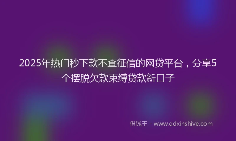 2025年热门秒下款不查征信的网贷平台，分享5个摆脱欠款束缚贷款新口子