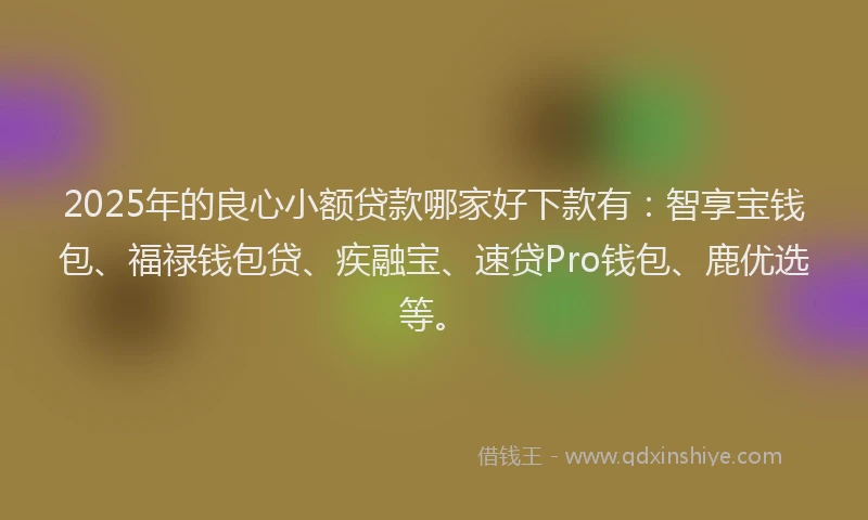 2025年的良心小额贷款哪家好下款有：智享宝钱包、福禄钱包贷、疾融宝、速贷Pro钱包、鹿优选等。