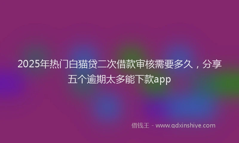 2025年热门白猫贷二次借款审核需要多久，分享五个逾期太多能下款app