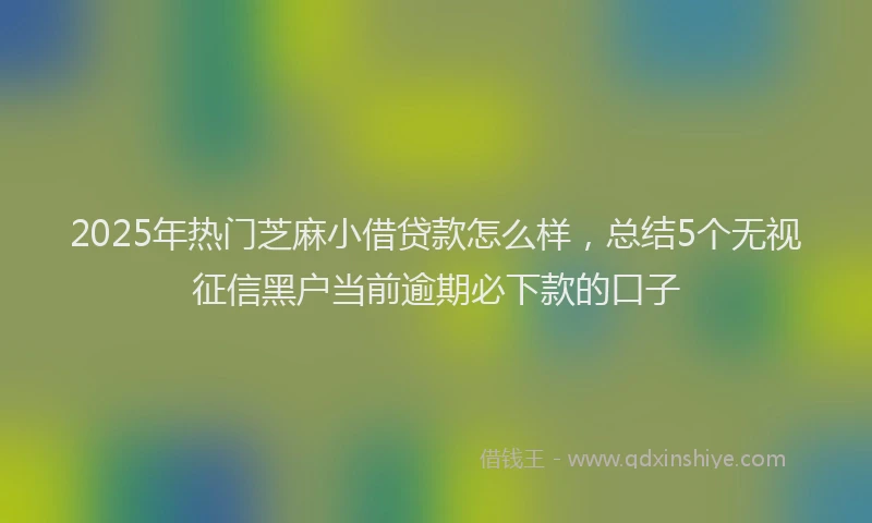 2025年热门芝麻小借贷款怎么样，总结5个无视征信黑户当前逾期必下款的口子