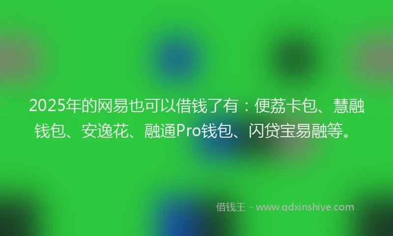 2025年的网易也可以借钱了有：便荔卡包、慧融钱包、安逸花、融通Pro钱包、闪贷宝易融等。