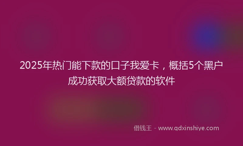 2025年热门能下款的口子我爱卡，概括5个黑户成功获取大额贷款的软件