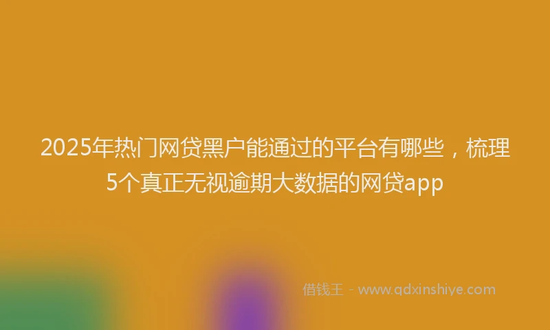 2025年热门网贷黑户能通过的平台有哪些，梳理5个真正无视逾期大数据的网贷app