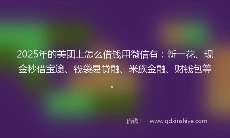 2025年的美团上怎么借钱用微信有：新一花、现金秒借宝途、钱袋易贷融、米族金融、财钱包等。