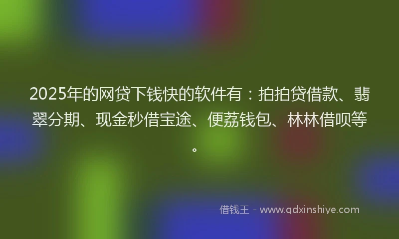 2025年的网贷下钱快的软件有：拍拍贷借款、翡翠分期、现金秒借宝途、便荔钱包、林林借呗等。
