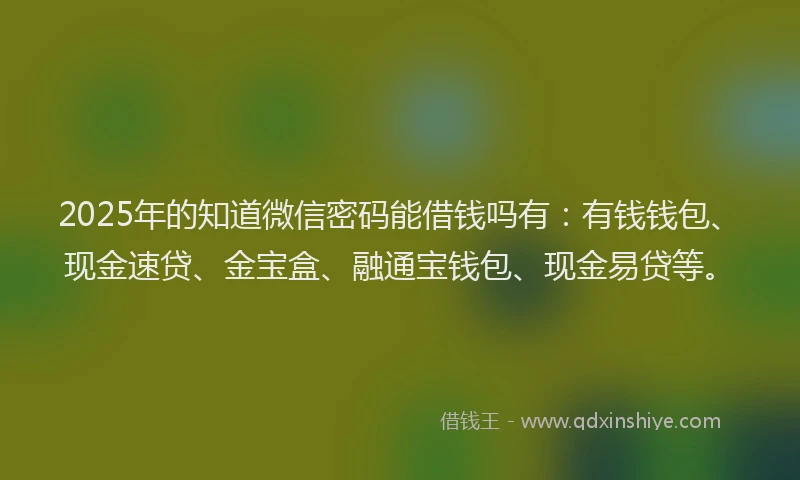 2025年的知道微信密码能借钱吗有：有钱钱包、现金速贷、金宝盒、融通宝钱包、现金易贷等。