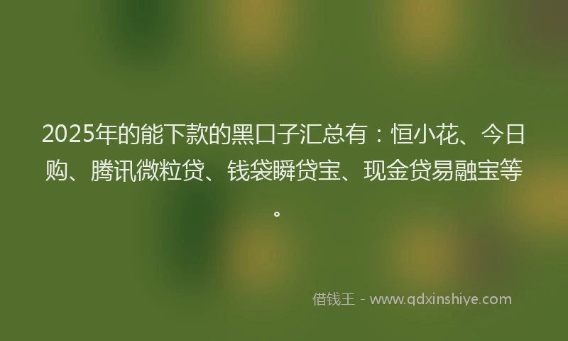 2025年的能下款的黑口子汇总有：恒小花、今日购、腾讯微粒贷、钱袋瞬贷宝、现金贷易融宝等。