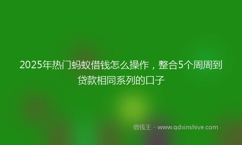 2025年热门蚂蚁借钱怎么操作，整合5个周周到贷款相同系列的口子