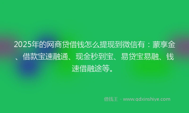 2025年的网商贷借钱怎么提现到微信有：蒙享金、借款宝速融通、现金秒到宝、易贷宝易融、钱速借融途等。