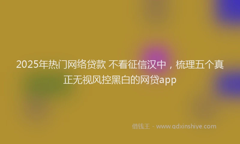2025年热门网络贷款 不看征信汉中，梳理五个真正无视风控黑白的网贷app
