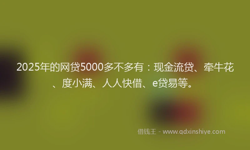 2025年的网贷5000多不多有：现金流贷、牵牛花、度小满、人人快借、e贷易等。