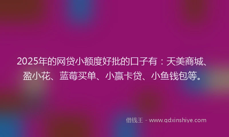 2025年的网贷小额度好批的口子有：天美商城、盈小花、蓝莓买单、小赢卡贷、小鱼钱包等。