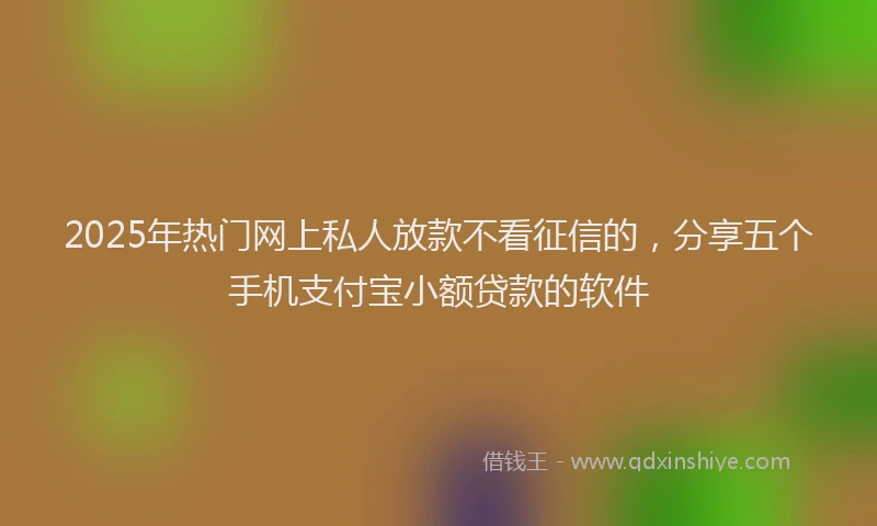 2025年热门网上私人放款不看征信的，分享五个手机支付宝小额贷款的软件
