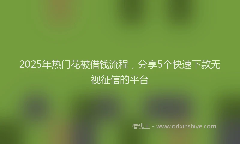 2025年热门花被借钱流程，分享5个快速下款无视征信的平台