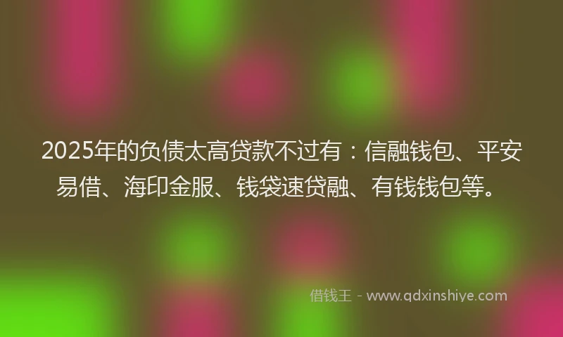 2025年的负债太高贷款不过有：信融钱包、平安易借、海印金服、钱袋速贷融、有钱钱包等。