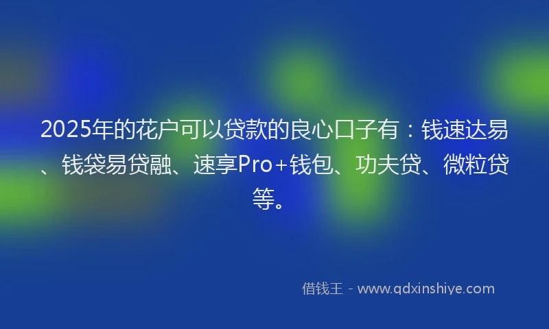 2025年的花户可以贷款的良心口子有：钱速达易、钱袋易贷融、速享Pro+钱包、功夫贷、微粒贷等。