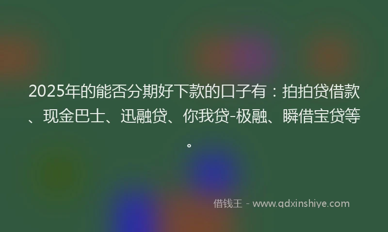 2025年的能否分期好下款的口子有：拍拍贷借款、现金巴士、迅融贷、你我贷-极融、瞬借宝贷等。