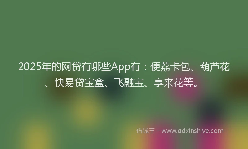 2025年的网贷有哪些App有：便荔卡包、葫芦花、快易贷宝盒、飞融宝、享来花等。