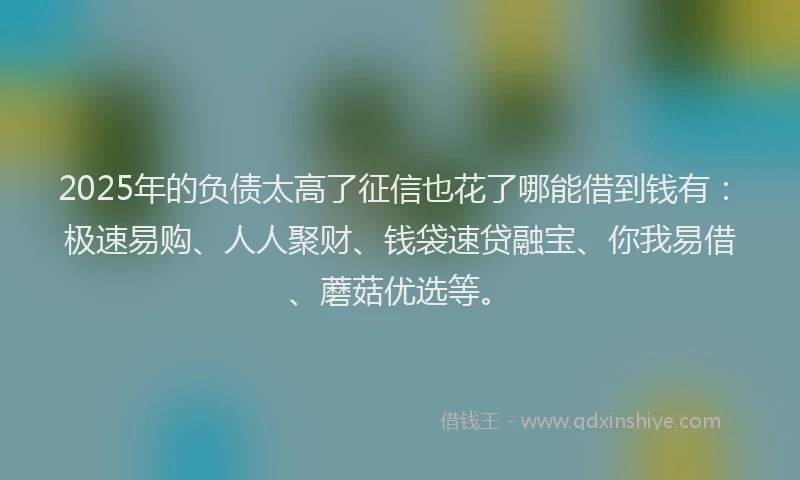 2025年的负债太高了征信也花了哪能借到钱有：极速易购、人人聚财、钱袋速贷融宝、你我易借、蘑菇优选等。