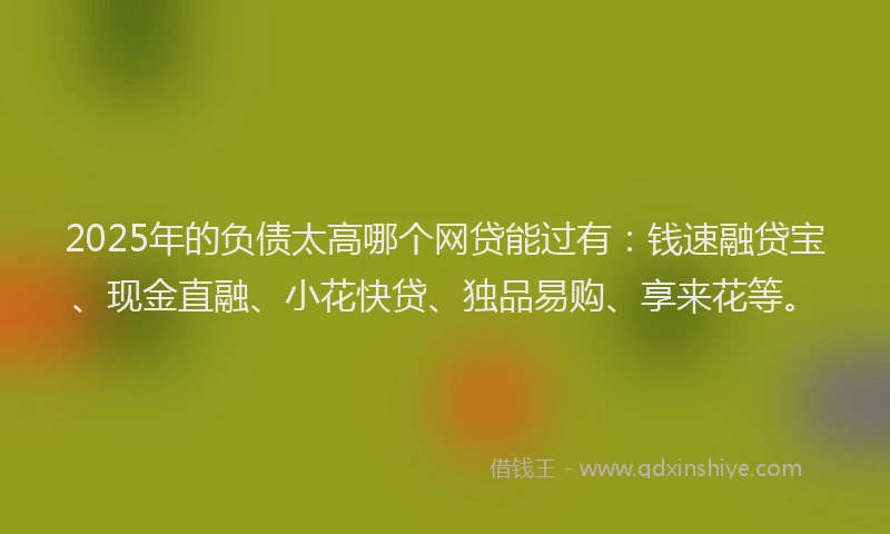2025年的负债太高哪个网贷能过有：钱速融贷宝、现金直融、小花快贷、独品易购、享来花等。