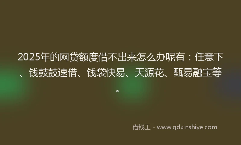 2025年的网贷额度借不出来怎么办呢有：任意下、钱鼓鼓速借、钱袋快易、天源花、甄易融宝等。