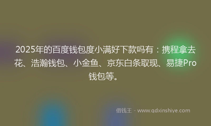 2025年的百度钱包度小满好下款吗有：携程拿去花、浩瀚钱包、小金鱼、京东白条取现、易捷Pro钱包等。