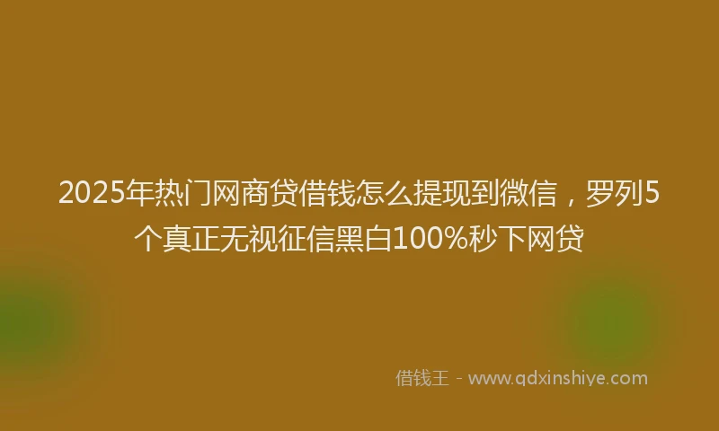 2025年热门网商贷借钱怎么提现到微信，罗列5个真正无视征信黑白100%秒下网贷