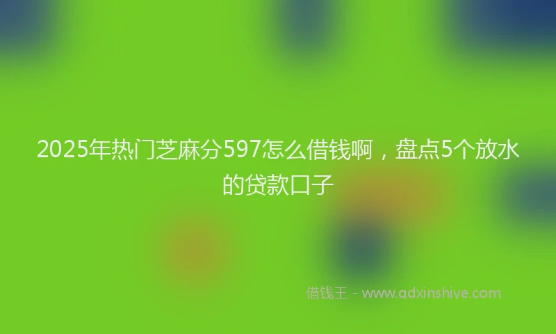 2025年热门芝麻分597怎么借钱啊，盘点5个放水的贷款口子