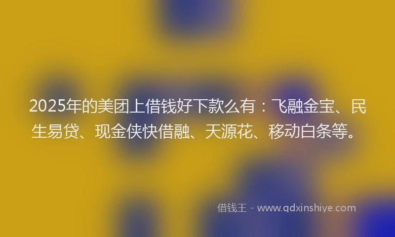 2025年的美团上借钱好下款么有：飞融金宝、民生易贷、现金侠快借融、天源花、移动白条等。