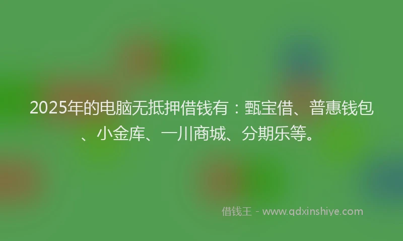 2025年的电脑无抵押借钱有：甄宝借、普惠钱包、小金库、一川商城、分期乐等。
